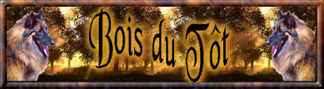 L'Elevage du Bois du T�t : Groenedaels et Tervuerens.