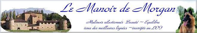 Le Manoir de Morgan - Elevage de Bergers Belges MALINOIS de très haut niveau - Beaux - Equilibrés - Sportifs..... sujets recommandés et Champions......